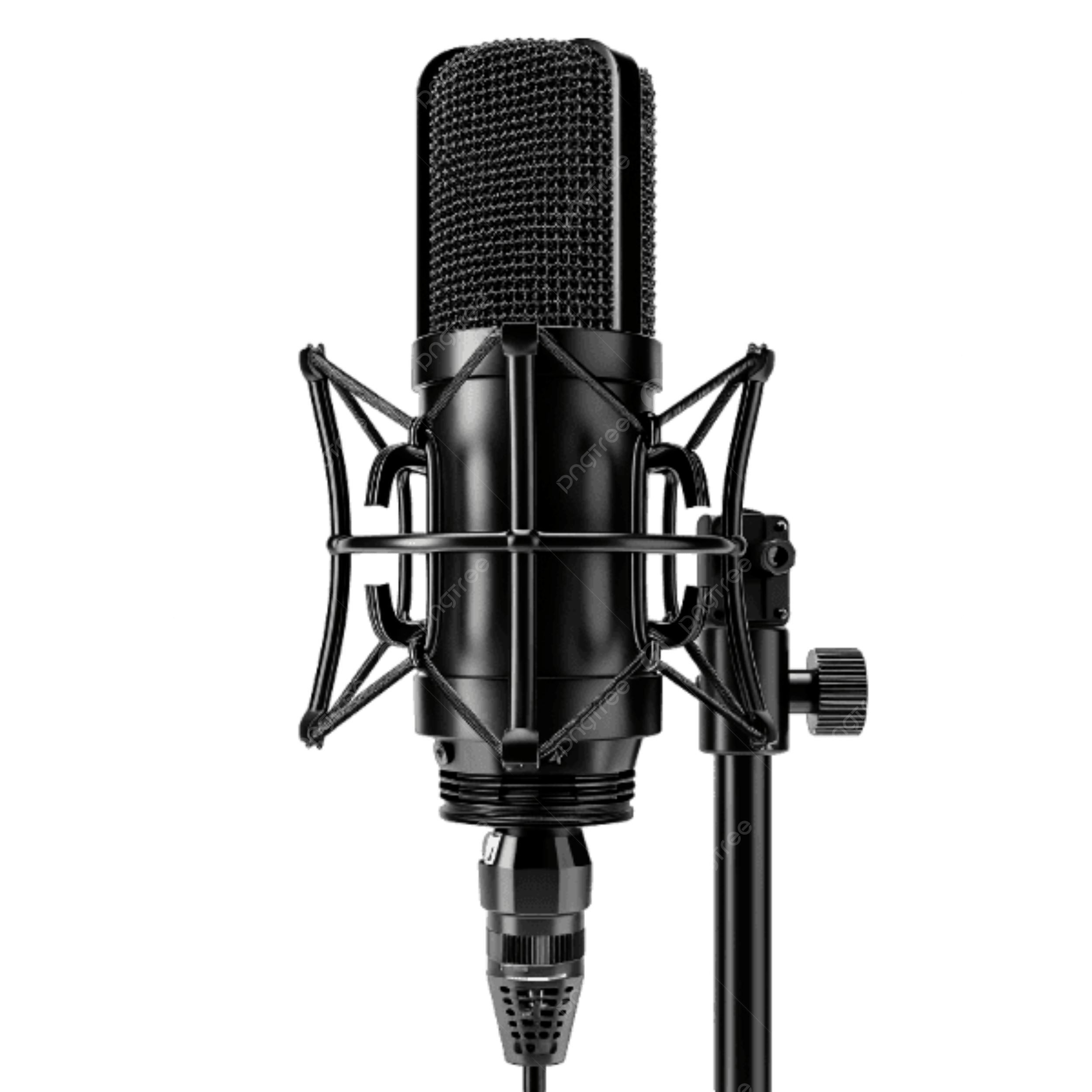 Professional Condenser Microphones
