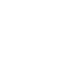 leadership-skills