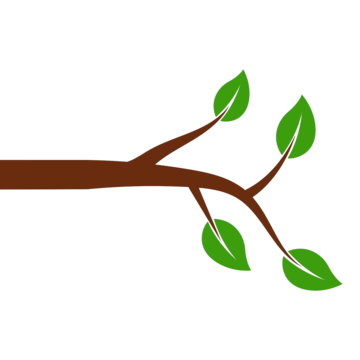 Twig Templating