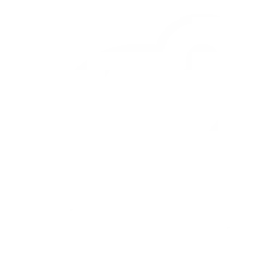 protection