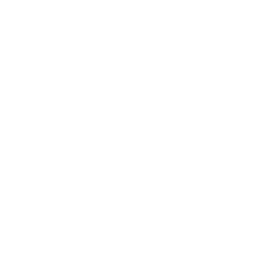 server