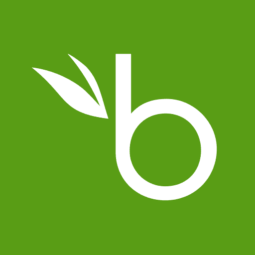 Bamboo HR