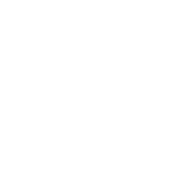 health icon