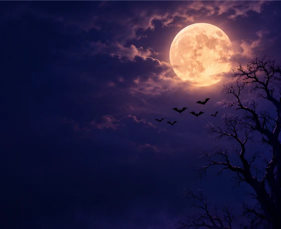 Halloween Moon Scene